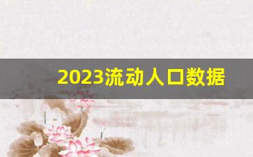 2023流动人口数据_人口净流入的城市排名