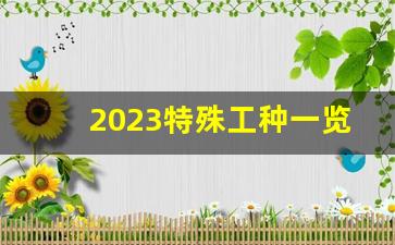 2023特殊工种一览表_特殊工种今年突然不算了