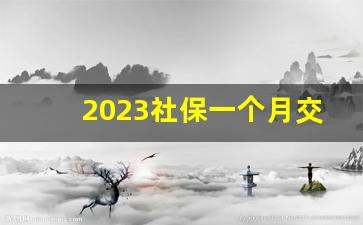 2023社保一个月交多少钱_买社保有什么好处