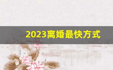 2023离婚最快方式_离婚三样东西归女方