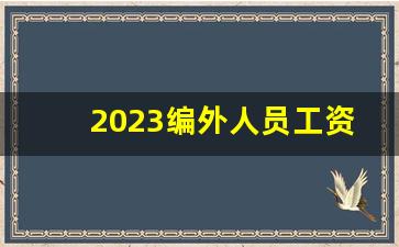 2023编外人员工资标准最新