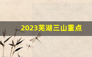 2023芜湖三山重点项目开工_芜湖三山烂尾楼最新进展