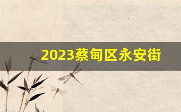 2023蔡甸区永安街规划