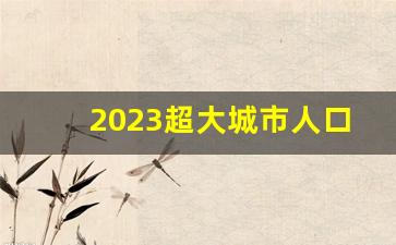 2023超大城市人口变化_2022年全国各市人口