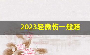 2023轻微伤一般赔偿多少钱_轻微伤5个等级