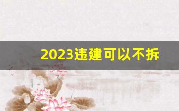 2023违建可以不拆新规_卫星多久拍一次违建啊