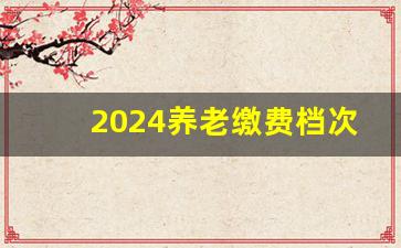 2024养老缴费档次明细