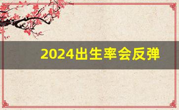 2024出生率会反弹吗_2024中国出生人口回升