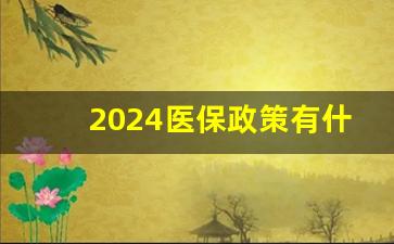 2024医保政策有什么变化