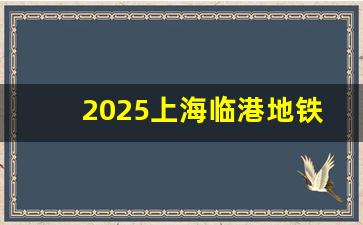 2025上海临港地铁规划园区_临港新片区2035规划高清图