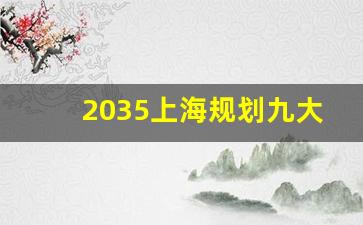 2035上海规划九大城市副中心_2035上海并入的城市