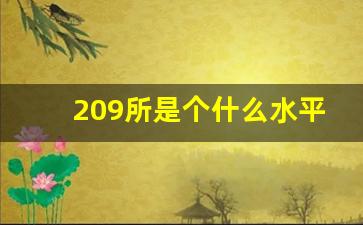 209所是个什么水平_兵器工业209所最新