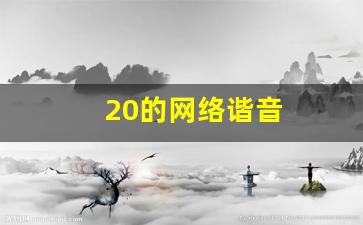 20的网络谐音