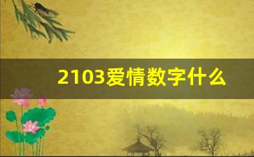 2103爱情数字什么意思_830爱情数字代表什么意思