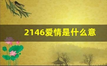 2146爱情是什么意思