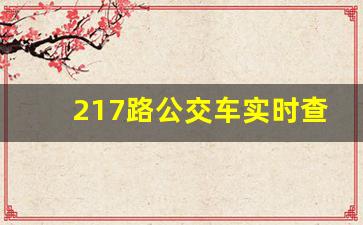 217路公交车实时查询_217路公交车路线时间表