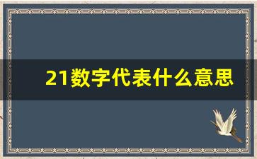 21数字代表什么意思