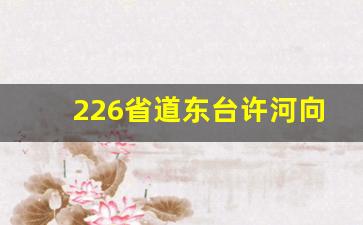 226省道东台许河向阳河西侧_东台226省道什么时候开工