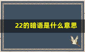 22的暗语是什么意思