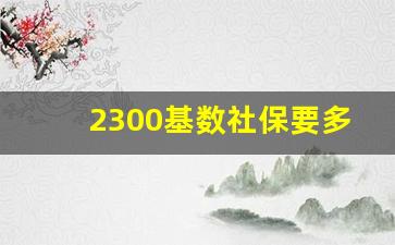 2300基数社保要多少钱_广东省社保基数一览表