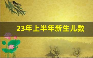 23年上半年新生儿数量