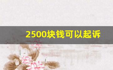 2500块钱可以起诉吗