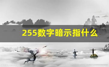 255数字暗示指什么意思_255代表完美的爱情