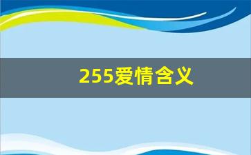 255爱情含义