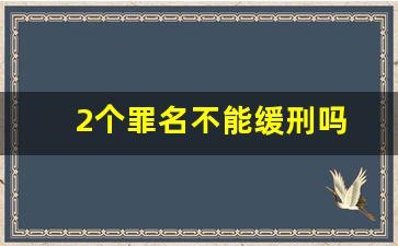 2个罪名不能缓刑吗