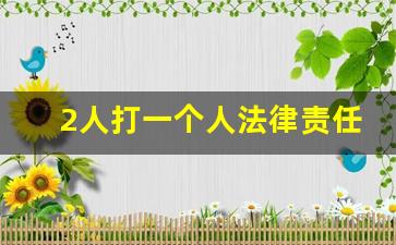 2人打一个人法律责任_两人打一人都有责任吗