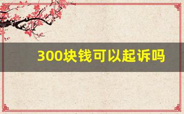 300块钱可以起诉吗