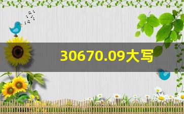 30670.09大写金额_620.08支票怎么写