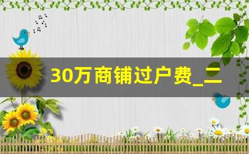 30万商铺过户费_二手商铺过户费