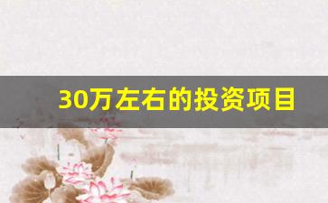 30万左右的投资项目_急需30万最好的办法