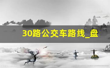 30路公交车路线_盘锦30路全程多少公里