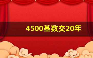 4500基数交20年可以领多少钱_青岛农村交4500发多少养老金