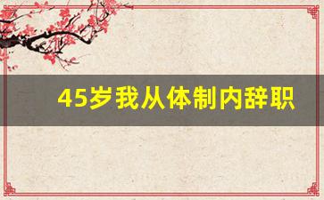 45岁我从体制内辞职了