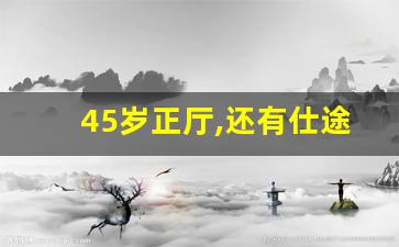 45岁正厅,还有仕途吗_50岁正厅算老吗