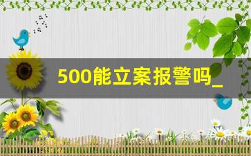 500能立案报警吗_网上受骗转账给他人怎么办