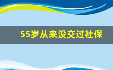 55岁从来没交过社保可以补吗_新农保一次性补缴4万5