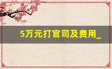 5万元打官司及费用_律师收费价目表