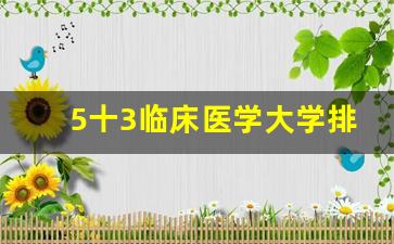 5十3临床医学大学排名_学医最好去哪个大学