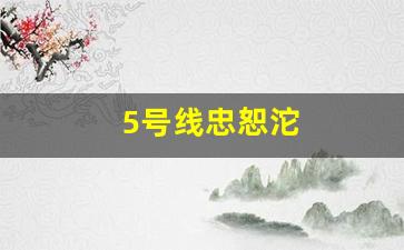 5号线忠恕沱