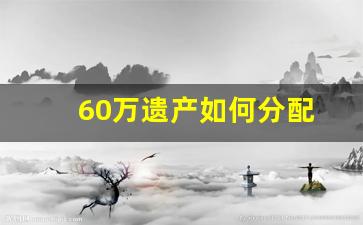 60万遗产如何分配