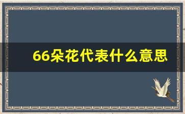 66朵花代表什么意思_333朵玫瑰花代表什么意思