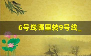 6号线哪里转9号线_六号线转九号线地铁