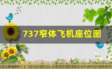 737窄体飞机座位图