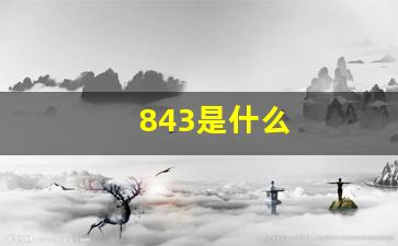 843是什么