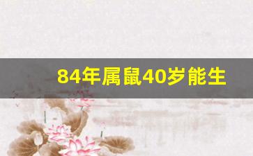 84年属鼠40岁能生下儿子吗_属鼠2024年有大喜缠身