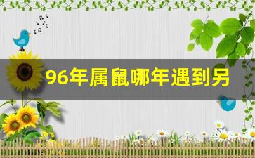 96年属鼠哪年遇到另一半_1996年属鼠人姻缘方向